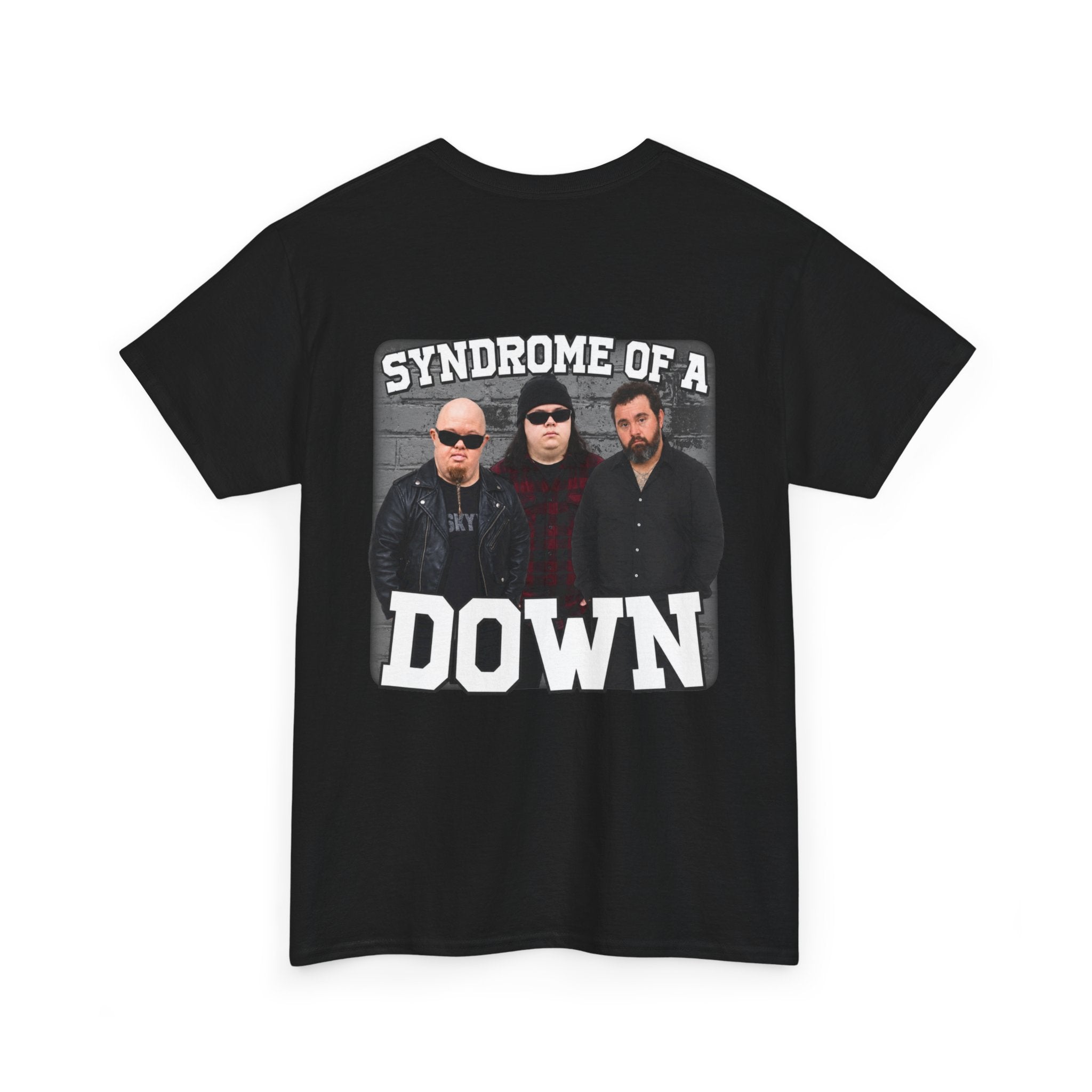 Syndrome of a Down (Backprint)